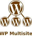 WP Multisite